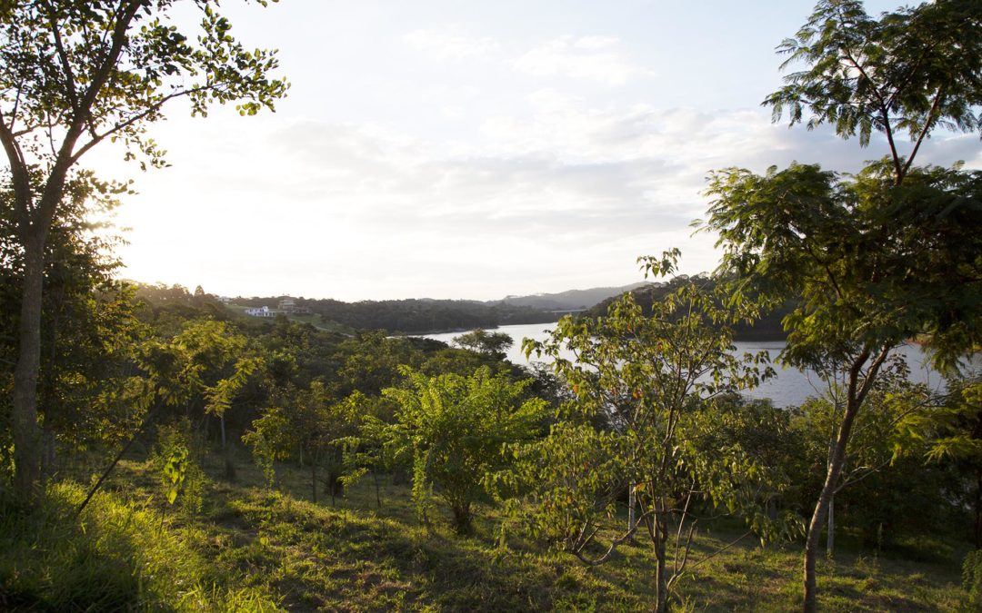 Choose to help the Cantareira System!