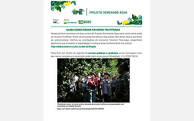 Boletim Técnico – Poda de Frutíferas