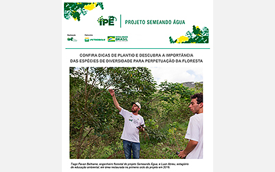 Boletim Técnico – Restauração