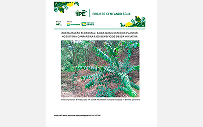 Boletim Técnico – Dicas de Restauração