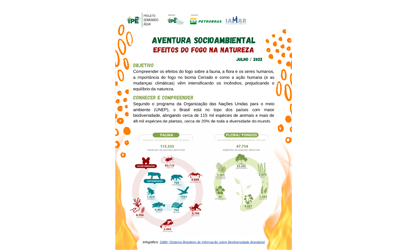 Aventura Socioambiental – Efeitos do Fogo na Natureza