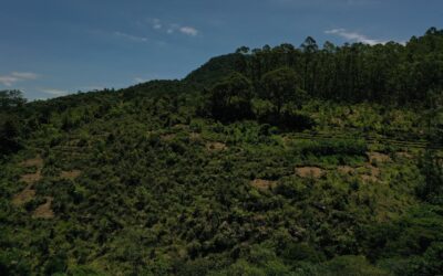 Reserva Particular do Patrimônio Natural e Política Municipal de Agroecologia e Produção Orgânica de Nazaré Paulista