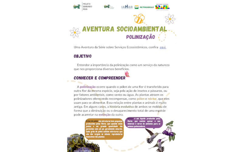 Aventura socioambiental: Polinização