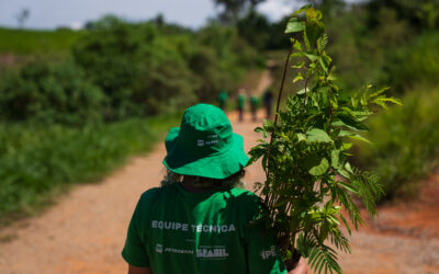 Ignorar a biodiversidade para ampliar o desenvolvimento econômico é um erro sem desculpas