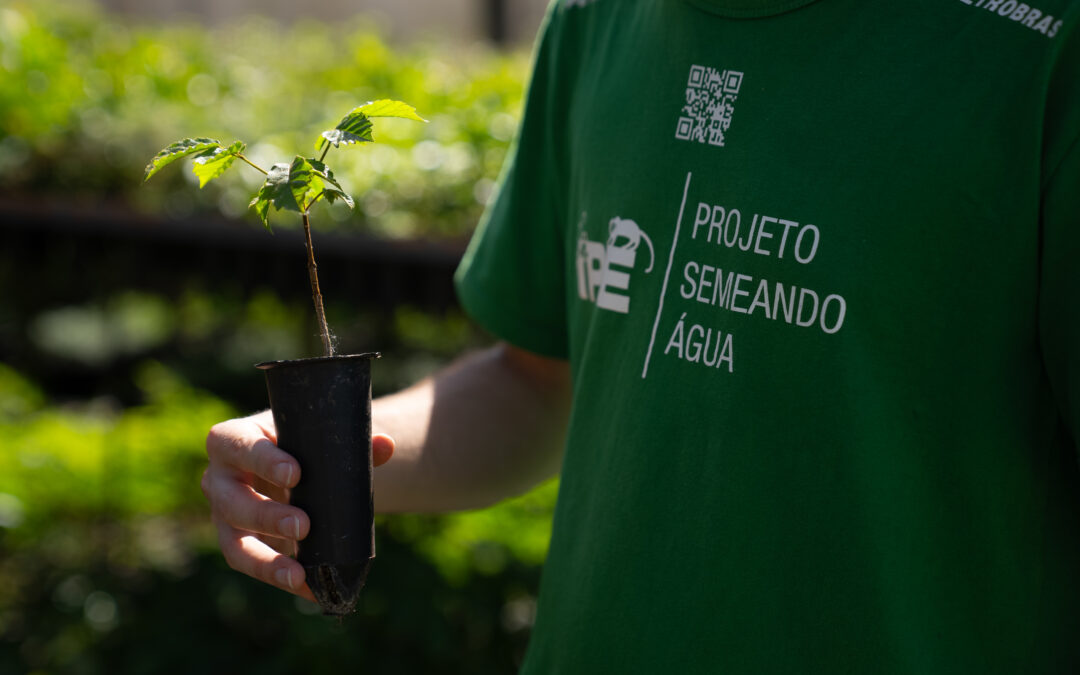 Novas vagas de estágio no Programa Semeando Água