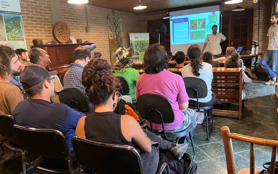 Manejo Produtivo da Juçara