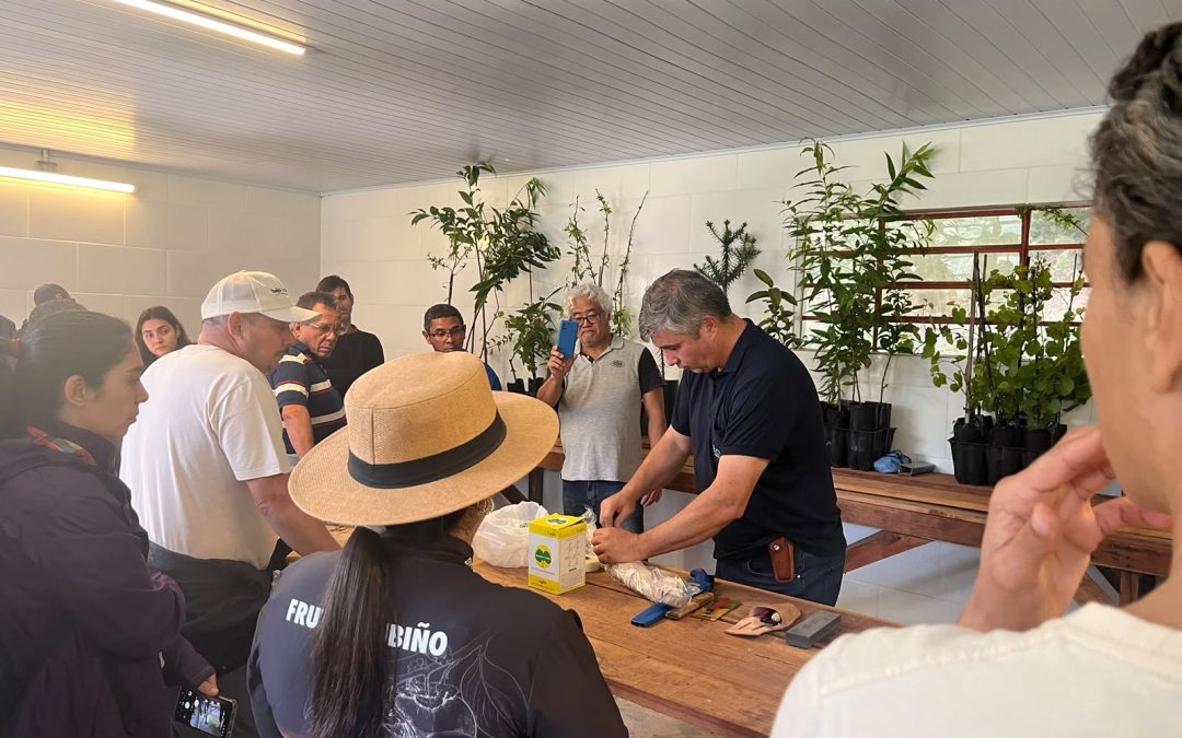 Oficina de enxertia e poda de frutíferas em Nazaré Paulista