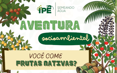 Aventura Socioambiental: Frutas Nativas