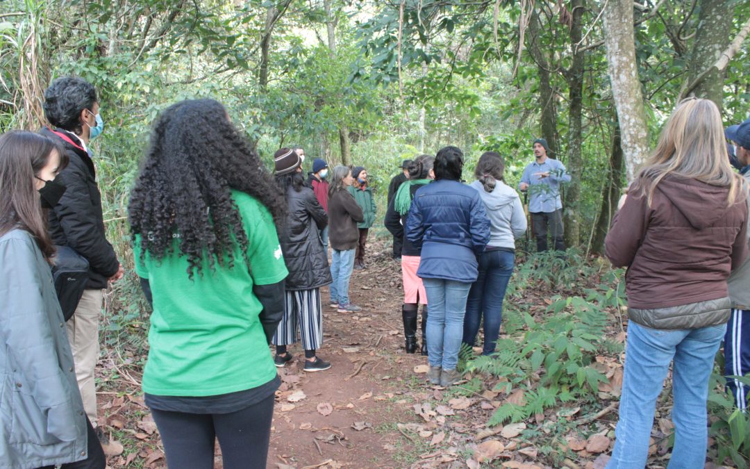 Semeando Água realiza capacitação sobre Oportunidades de Produção aliada à Conservação e Manejo Florestal Sustentável